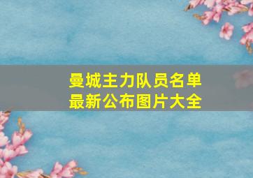 曼城主力队员名单最新公布图片大全