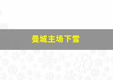 曼城主场下雪