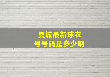 曼城最新球衣号号码是多少啊