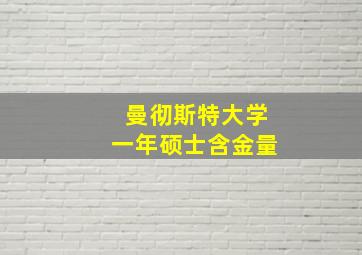 曼彻斯特大学一年硕士含金量