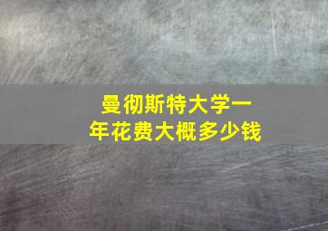 曼彻斯特大学一年花费大概多少钱