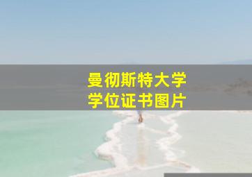 曼彻斯特大学学位证书图片