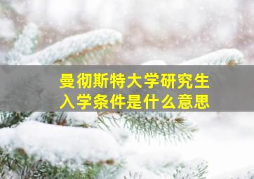 曼彻斯特大学研究生入学条件是什么意思