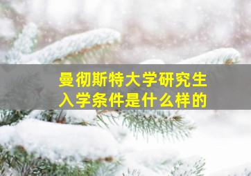 曼彻斯特大学研究生入学条件是什么样的