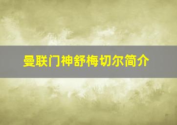 曼联门神舒梅切尔简介