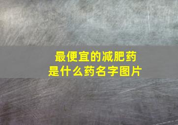 最便宜的减肥药是什么药名字图片