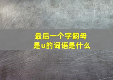 最后一个字韵母是u的词语是什么