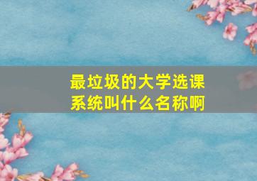 最垃圾的大学选课系统叫什么名称啊