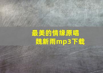 最美的情缘原唱魏新雨mp3下载