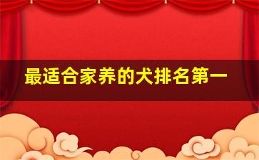 最适合家养的犬排名第一