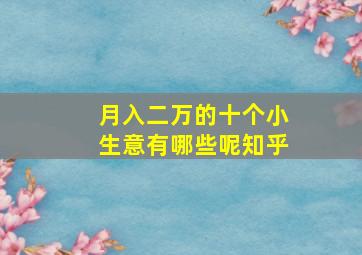 月入二万的十个小生意有哪些呢知乎