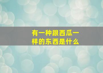 有一种跟西瓜一样的东西是什么