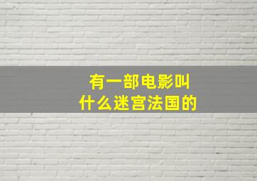 有一部电影叫什么迷宫法国的