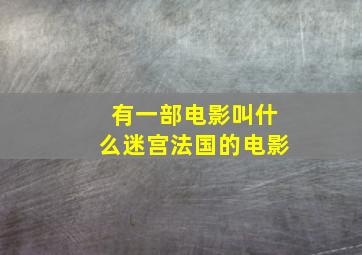 有一部电影叫什么迷宫法国的电影