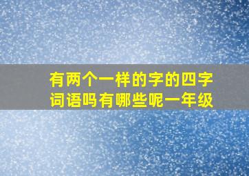 有两个一样的字的四字词语吗有哪些呢一年级