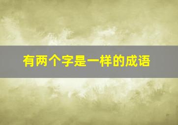 有两个字是一样的成语