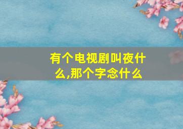 有个电视剧叫夜什么,那个字念什么