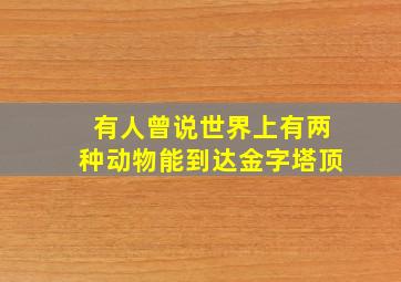 有人曾说世界上有两种动物能到达金字塔顶