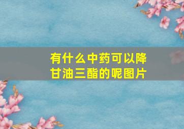 有什么中药可以降甘油三酯的呢图片