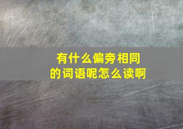 有什么偏旁相同的词语呢怎么读啊