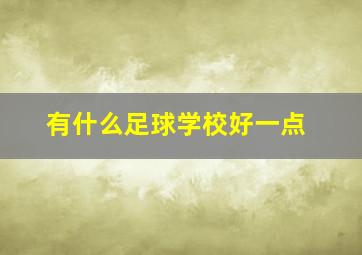 有什么足球学校好一点