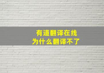 有道翻译在线为什么翻译不了