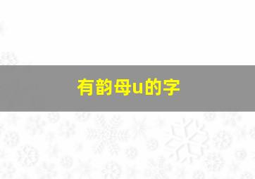 有韵母u的字