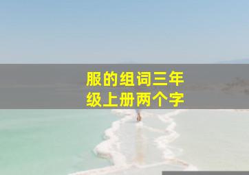 服的组词三年级上册两个字