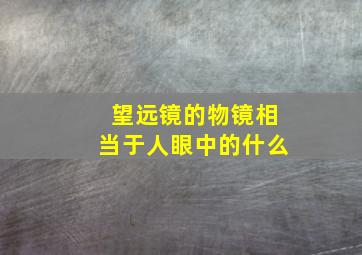 望远镜的物镜相当于人眼中的什么