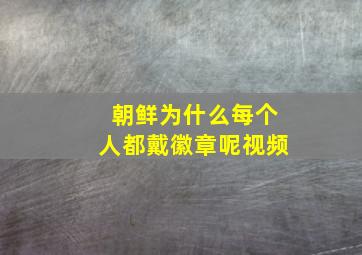 朝鲜为什么每个人都戴徽章呢视频