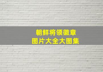 朝鲜将领徽章图片大全大图集