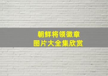 朝鲜将领徽章图片大全集欣赏