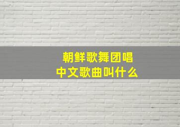 朝鲜歌舞团唱中文歌曲叫什么