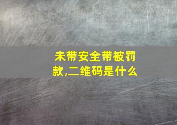 未带安全带被罚款,二维码是什么