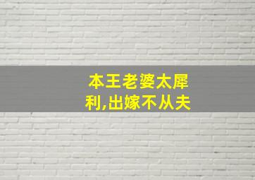 本王老婆太犀利,出嫁不从夫