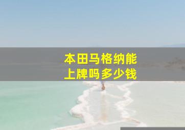 本田马格纳能上牌吗多少钱