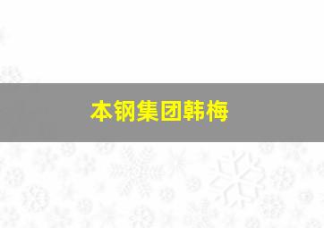 本钢集团韩梅