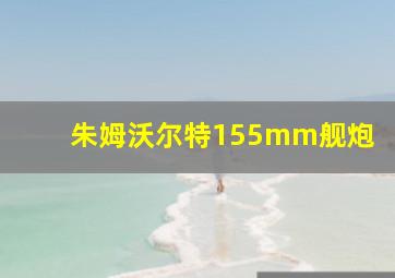 朱姆沃尔特155mm舰炮