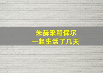 朱赫来和保尔一起生活了几天