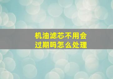 机油滤芯不用会过期吗怎么处理