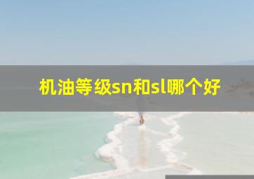 机油等级sn和sl哪个好