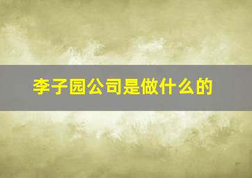 李子园公司是做什么的