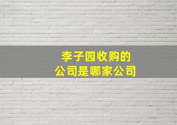 李子园收购的公司是哪家公司