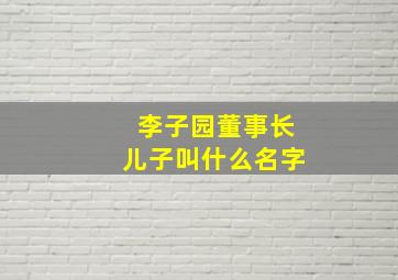 李子园董事长儿子叫什么名字