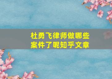 杜勇飞律师做哪些案件了呢知乎文章