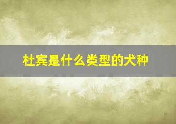 杜宾是什么类型的犬种