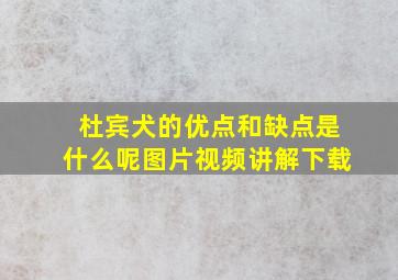 杜宾犬的优点和缺点是什么呢图片视频讲解下载