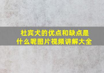 杜宾犬的优点和缺点是什么呢图片视频讲解大全