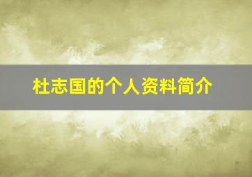 杜志国的个人资料简介