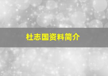 杜志国资料简介